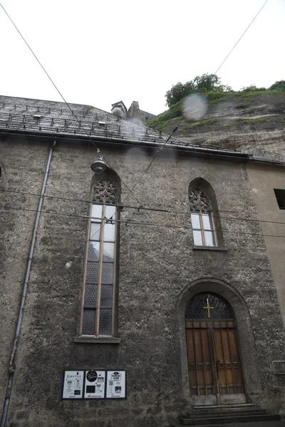 DSC_6199 (Large).JPG